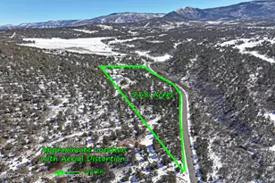 9972 52 1/2 Rd, Molina, CO 81646 - Photo 7