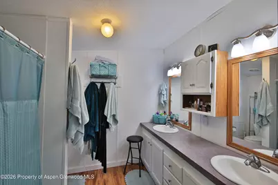 9972 52 1/2 Road, Molina, CO 81646 - Photo 17