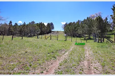 555 Glenarm Avenue, Collbran, CO 81624 - Photo 3