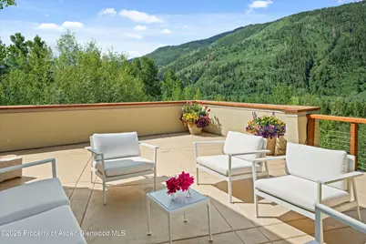 250 Mountain Laurel Drive #B, Aspen, CO 81611 - Photo 23