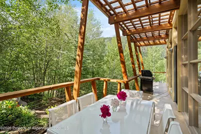 250 Mountain Laurel Drive #B, Aspen, CO 81611 - Photo 19