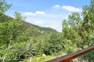 250 Mountain Laurel Dr, Aspen, CO 81611 - Photo 21