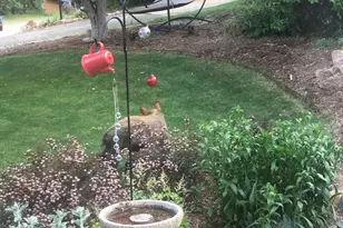 605 W 9th Pl, Glenwood Springs, CO 81601 - Photo 39