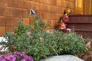 605 W 9th Pl, Glenwood Springs, CO 81601 - Photo 35