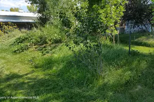 4243 Peach Valley Road Rd, Silt, CO 81652 - Photo 31