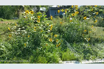 4243 Peach Valley Road Road, Silt, CO 81652 - Photo 19