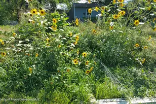 4243 Peach Valley Road Rd, Silt, CO 81652 - Photo 19