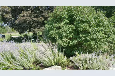 4243 Peach Valley Road Road, Silt, CO 81652 - Photo 39