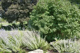 4243 Peach Valley Road Rd, Silt, CO 81652 - Photo 39