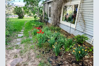 4243 Peach Valley Road Road, Silt, CO 81652 - Photo 5