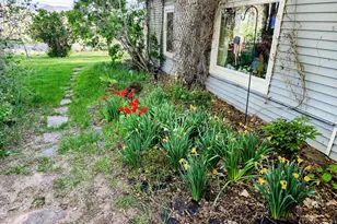 4243 Peach Valley Road Rd, Silt, CO 81652 - Photo 5