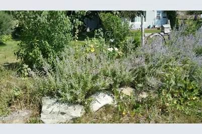 4243 Peach Valley Road Road, Silt, CO 81652 - Photo 37