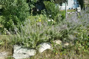 4243 Peach Valley Road Rd, Silt, CO 81652 - Photo 37