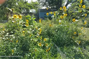 4243 Peach Valley Road Rd, Silt, CO 81652 - Photo 41