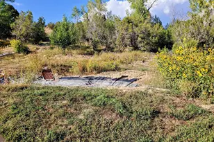 4243 Peach Valley Road Rd, Silt, CO 81652 - Photo 47