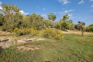 4243 Peach Valley Road Rd, Silt, CO 81652 - Photo 27