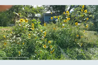 4243 Peach Valley Road Road, Silt, CO 81652 - Photo 29