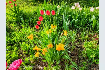 4243 Peach Valley Road Road, Silt, CO 81652 - Photo 13