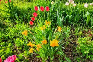 4243 Peach Valley Road Rd, Silt, CO 81652 - Photo 13