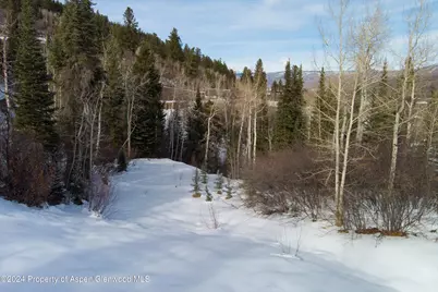 Tbd Pfister Drive, Aspen, CO 81611 - Photo 11