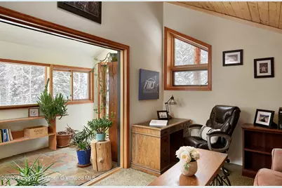 290 Ruedi Creek Road, Basalt, CO 81621 - Photo 43