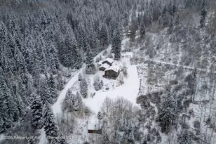 290 Ruedi Creek Rd, Basalt, CO 81621 - Photo 49