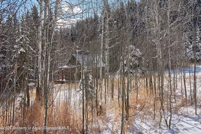 290 Ruedi Creek Road, Basalt, CO 81621 - Photo 27