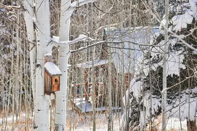 290 Ruedi Creek Road, Basalt, CO 81621 - Photo 29