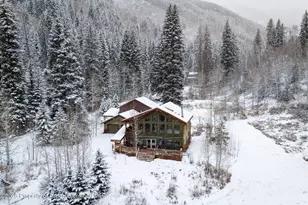 290 Ruedi Creek Rd, Basalt, CO 81621 - Photo 57