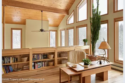 290 Ruedi Creek Road, Basalt, CO 81621 - Photo 19