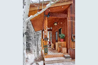 290 Ruedi Creek Road, Basalt, CO 81621 - Photo 39