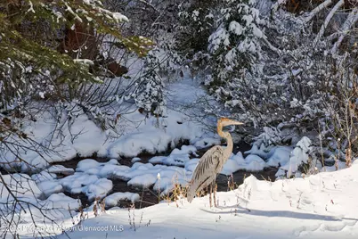 290 Ruedi Creek Road, Basalt, CO 81621 - Photo 51