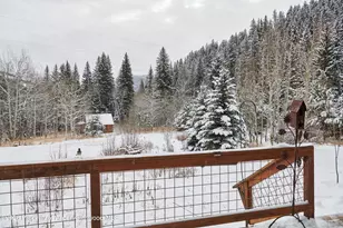 290 Ruedi Creek Rd, Basalt, CO 81621 - Photo 25