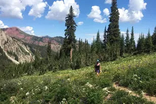 3904 Brush Creek Rd, Snowmass Village, CO 81615 - Photo 35