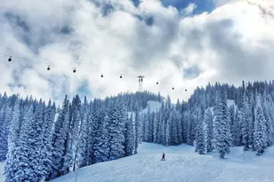 3904 Brush Creek Rd, Snowmass Village, CO 81615 - Photo 29