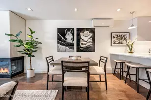 205 E Durant Ave, Aspen, CO 81611 - Photo 5