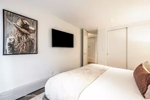 205 E Durant Ave, Aspen, CO 81611 - Photo 15