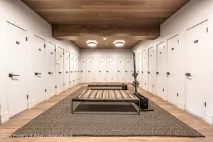 205 E Durant Ave, Aspen, CO 81611 - Photo 25