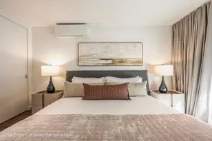 205 E Durant Ave, Aspen, CO 81611 - Photo 13