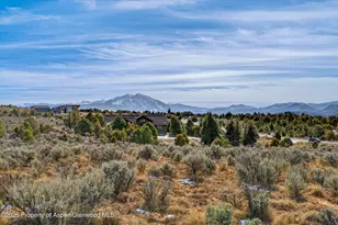 1136 Elk Springs Dr, Glenwood Springs, CO 81601 - Photo 43