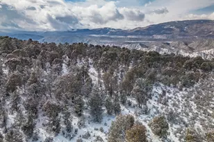 1136 Elk Springs Dr, Glenwood Springs, CO 81601 - Photo 9