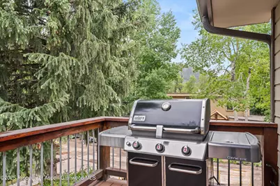 322 Park Avenue #Unit 1, Aspen, CO 81611 - Photo 21