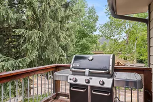 322 Park Ave, Aspen, CO 81611 - Photo 21