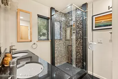 322 Park Avenue #Unit 1, Aspen, CO 81611 - Photo 13