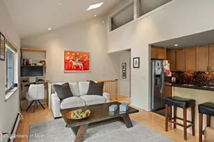 322 Park Ave, Aspen, CO 81611 - Photo 3