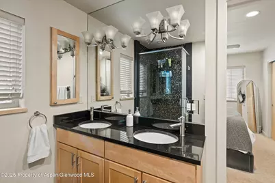 322 Park Avenue #Unit 2, Aspen, CO 81611 - Photo 9
