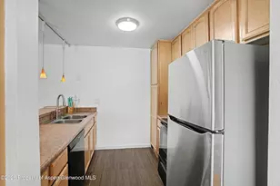 35 Lower Woodbridge Rd, Snowmass Village, CO 81615 - Photo 11