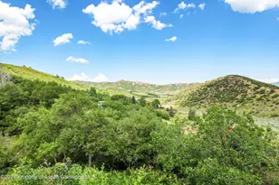 845 Aspen Oak Dr, Aspen, CO 81611 - Photo 33