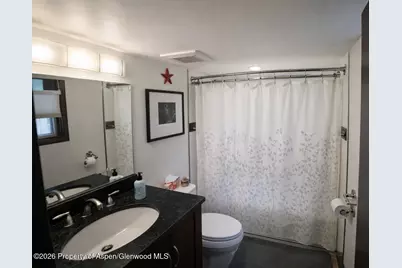 409 Park Circle #2, Aspen, CO 81611 - Photo 9