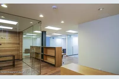 625 E Main Street #204, Aspen, CO 81611 - Photo 7